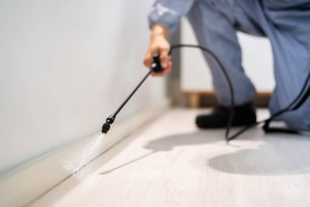 Licensed Exterminator service in Osseo, MN - Show Me Pest Control